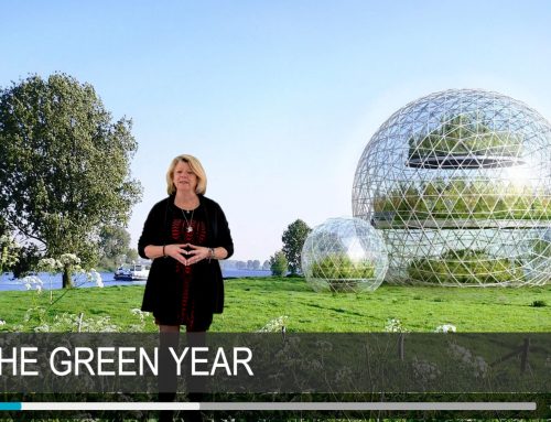 Make 2021 A Green Year