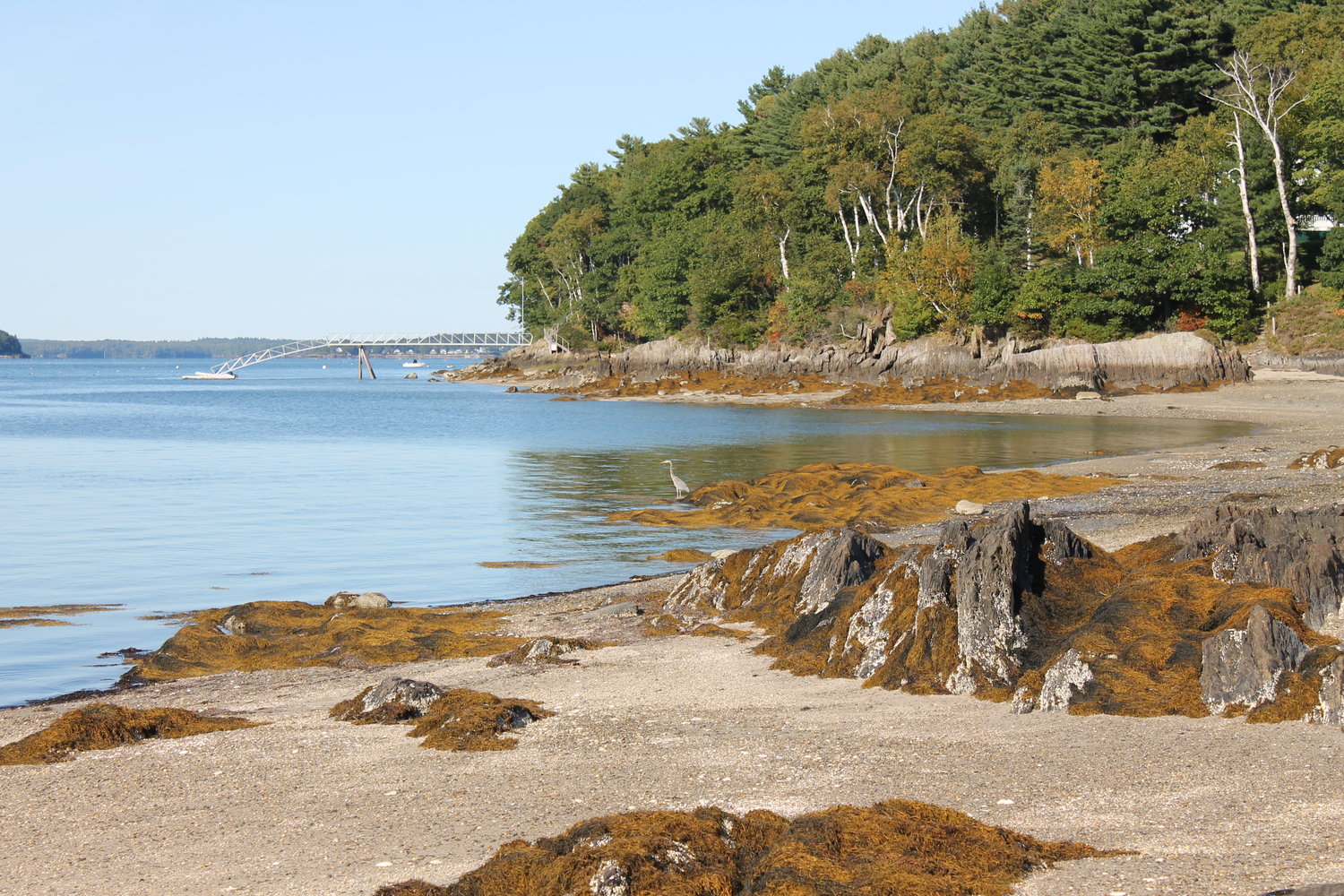 Chebeague Island Real Estate and Homes for Sale