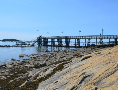Waterfront Living Beyond Summer