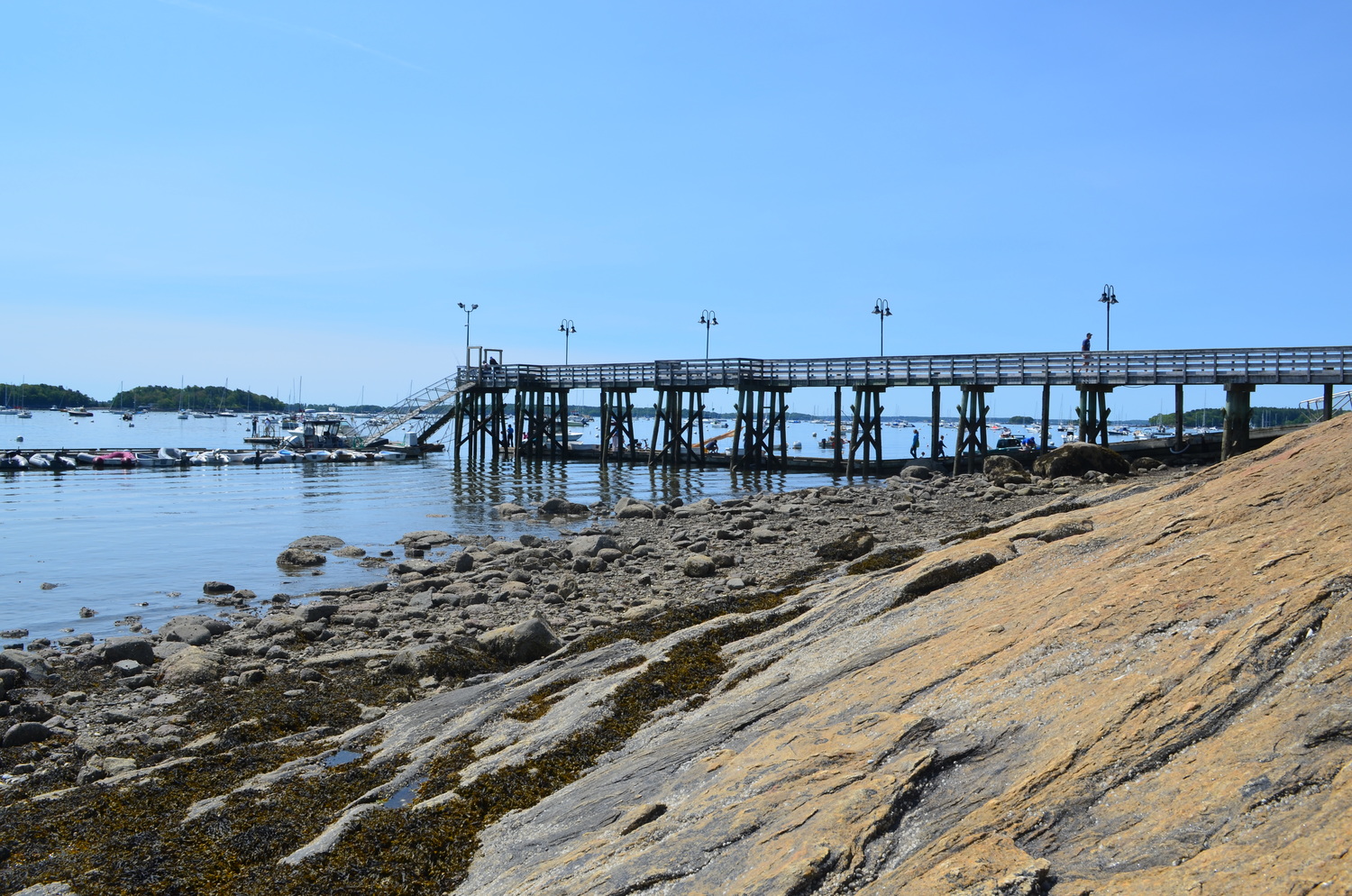 Maine Waterfront