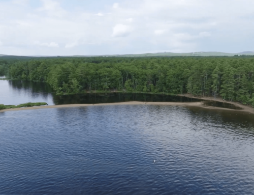 Living on Sebago Lake