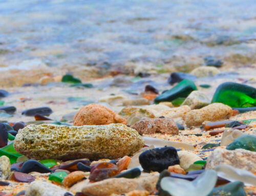 Maine Sea Glass
