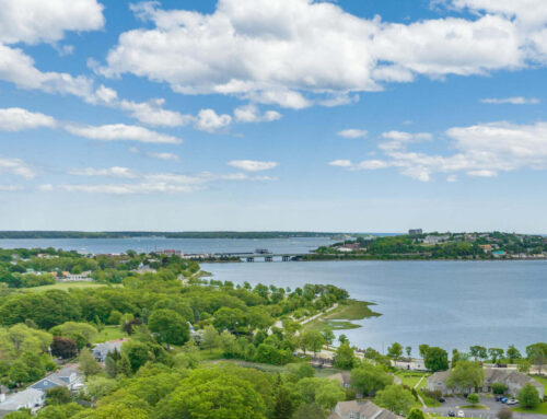 Welcome to Back Cove