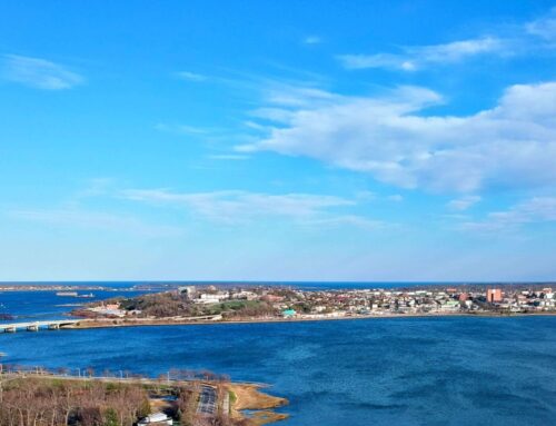 2025 Year End Report