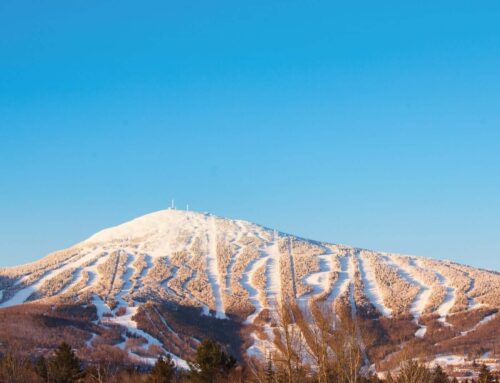 March Monthly Connection