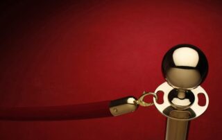 The Velvet Rope