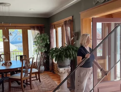The Screen Door