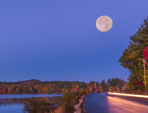 Follow the Moonlight